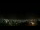 Webcam in Venâncio Aires, 699 mi away