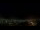 Webcam in Venâncio Aires, 869.7 mi away