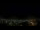 Webcam in Venâncio Aires, 1073.5 km