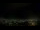Webcam in Venâncio Aires, 1795.8 km entfernt