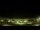 Webcam in Ubatuba, 316.6 km