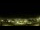 Webcam in Ubatuba, 63.4 mi away