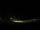 Webcam in Telêmaco Borba, 208.3 km
