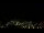 Webcam in Simonésia, 281.5 km