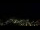 Webcam in Simonésia, 517.8 km entfernt