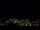 Webcam in Simonésia, 304.5 km entfernt