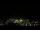 Webcam in Simonésia, 293.1 km entfernt