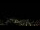 Webcam in Simonésia, 308 km