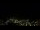 Webcam in Simonésia, 281.5 km