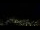 Webcam in Simonésia, 304.5 km