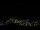 Webcam in Simonésia, 137.9 km