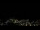 Webcam in Simonésia, 281.5 km