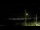 Webcam in Santo Antônio do Monte, 81.4 km