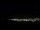 Webcam in Santa Maria da Boa Vista, 175.8 km
