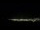 Webcam in Santa Maria da Boa Vista, 38.4 mi away