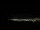 Webcam in Santa Maria da Boa Vista, 38.4 mi away