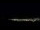 Webcam in Santa Maria da Boa Vista, 25 km entfernt