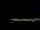 Webcam in Santa Maria da Boa Vista, 42.8 mi away