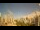 Webcam in Recife, 257.1 km