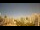 Webcam in Recife, 145.5 km