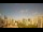 Webcam in Recife, 0.1 mi away