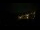 Webcam in Praia Grande, 218.3 km