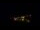 Webcam in Praia Grande, 102.5 mi away