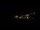 Webcam in Praia Grande, 89.5 km entfernt