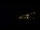 Webcam in Praia Grande, 120.2 km