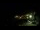 Webcam in Praia Grande, 34.5 mi away