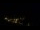 Webcam in Praia Grande, 153.9 km