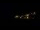 Webcam in Praia Grande, 89.5 km entfernt