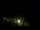 Webcam in Praia Grande, 238.7 km