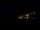 Webcam in Praia Grande, 34.5 mi away