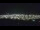 Webcam in Pontes e Lacerda, 350.6 km