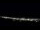 Webcam in Petrolândia, 324.6 km entfernt