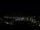 Webcam in Morro Agudo, 498.9 km