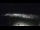 Webcam in Ipirá, 53.4 mi away