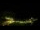 Webcam in Imbituba, 55.1 mi away