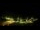 Webcam in Imbituba, 55.1 mi away