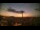Webcam in Carmo da Mata, 92.5 km