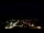 Webcam in Carmo da Mata, 114.4 km
