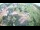Webcam in Carlinda, 77 km entfernt