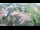 Webcam in Carlinda, 894.3 km