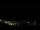 Webcam in Caçu, 1206 km