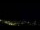 Webcam in Caçu, 421.2 km