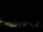 Webcam in Caçu, 947.3 km entfernt
