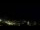 Webcam in Caçu, 134.5 mi away