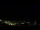 Webcam in Caçu, 749.2 km entfernt