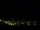 Webcam in Caçu, 348.5 km